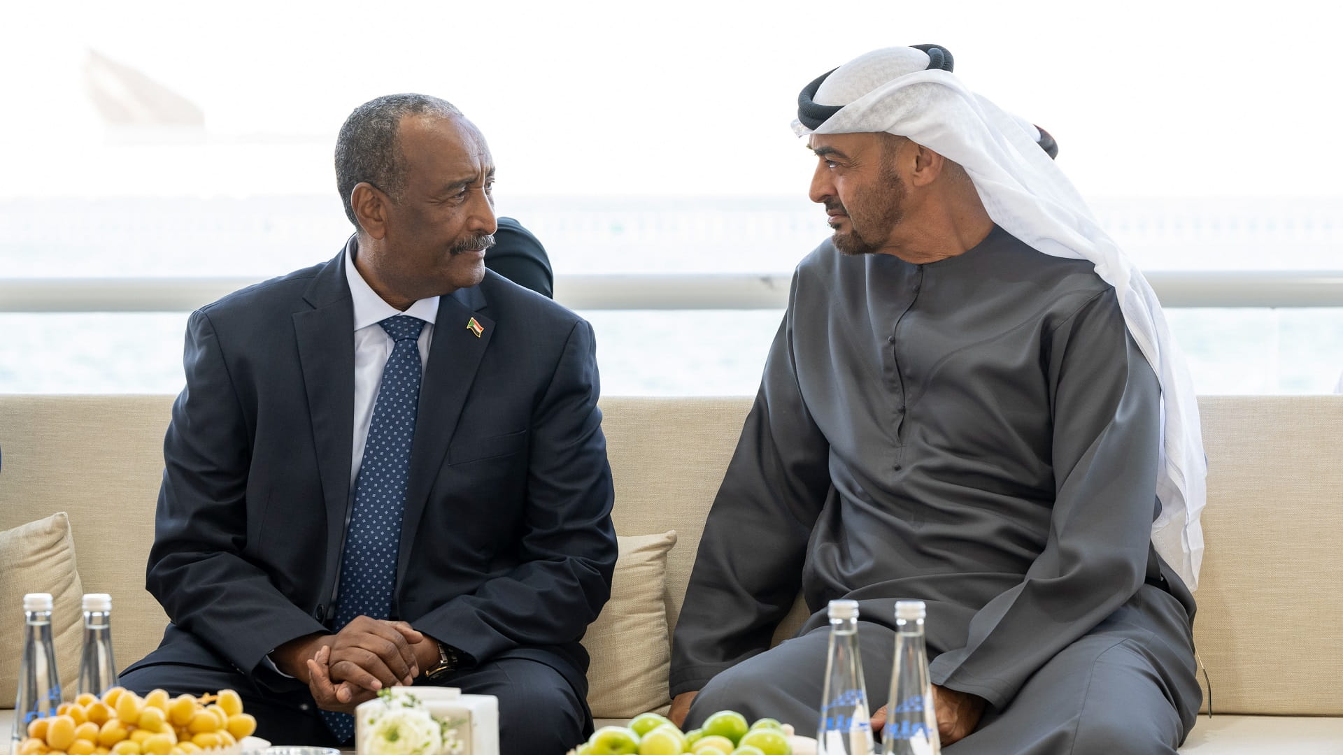 Image for the title: UAE President, Sudan’s Al Burhan review fraternal relations 