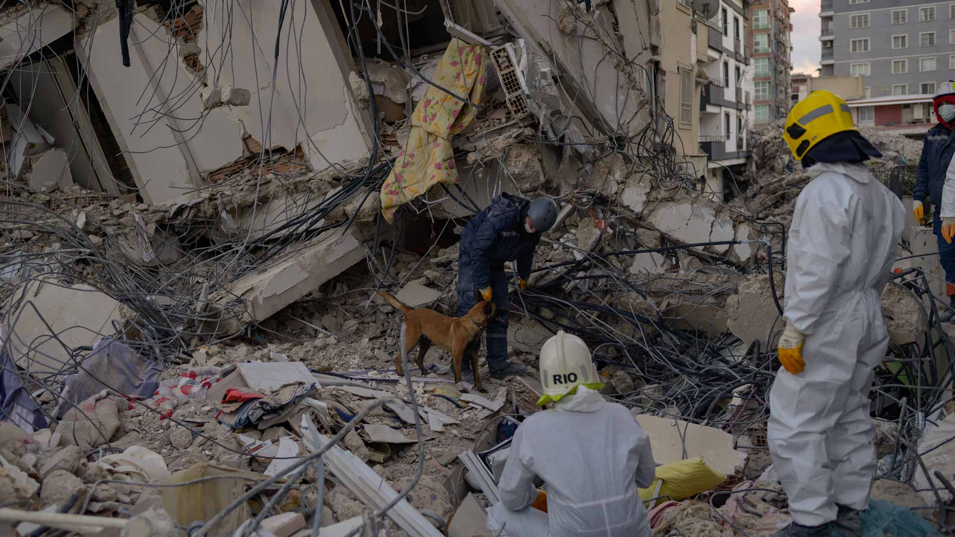 Image for the title: Turkey clears away rubble from earthquake 