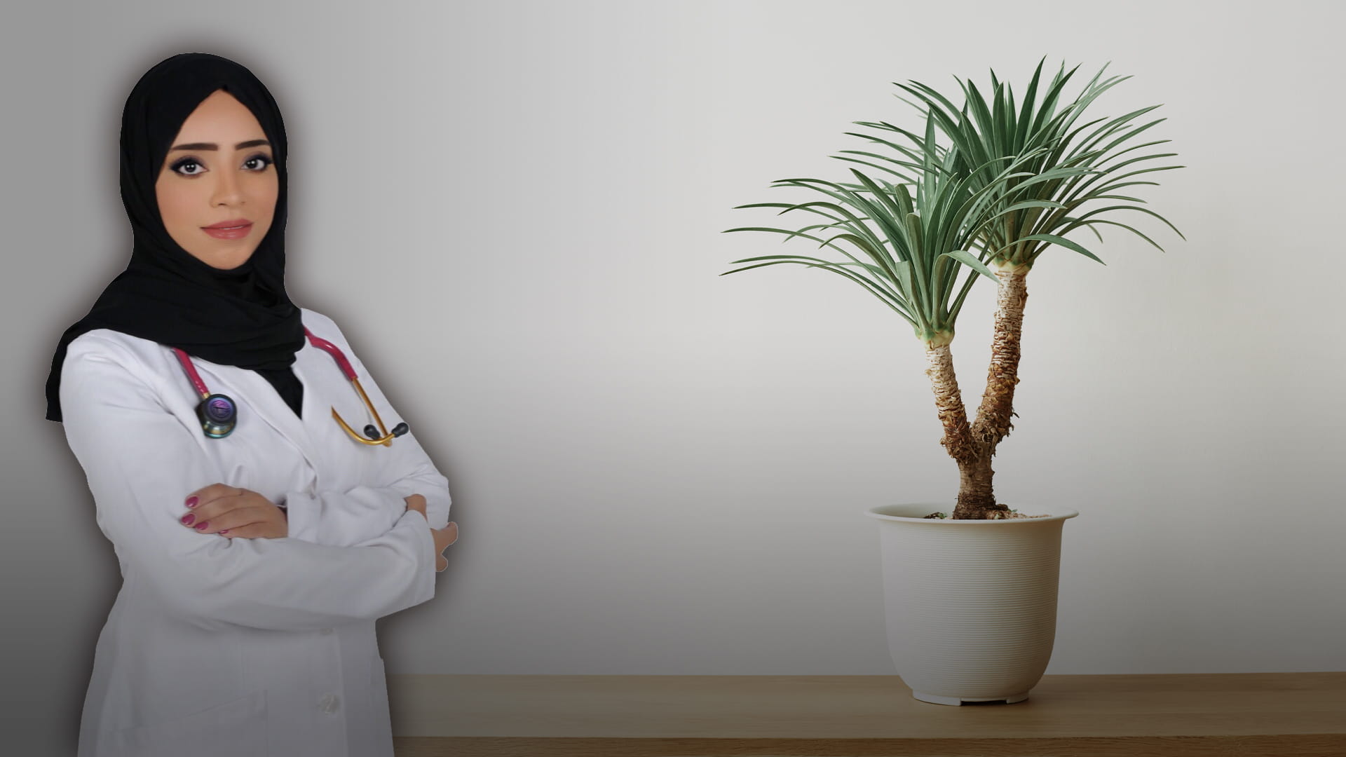 صورة بعنوان: النباتات المنزلية وأثرها على الصحة العامة 