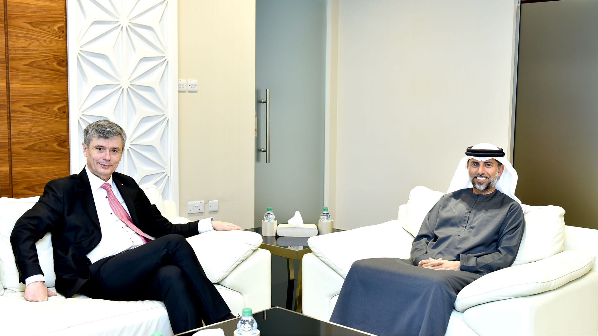 Image for the title: UAE, Romania discuss cooperation in energy field 