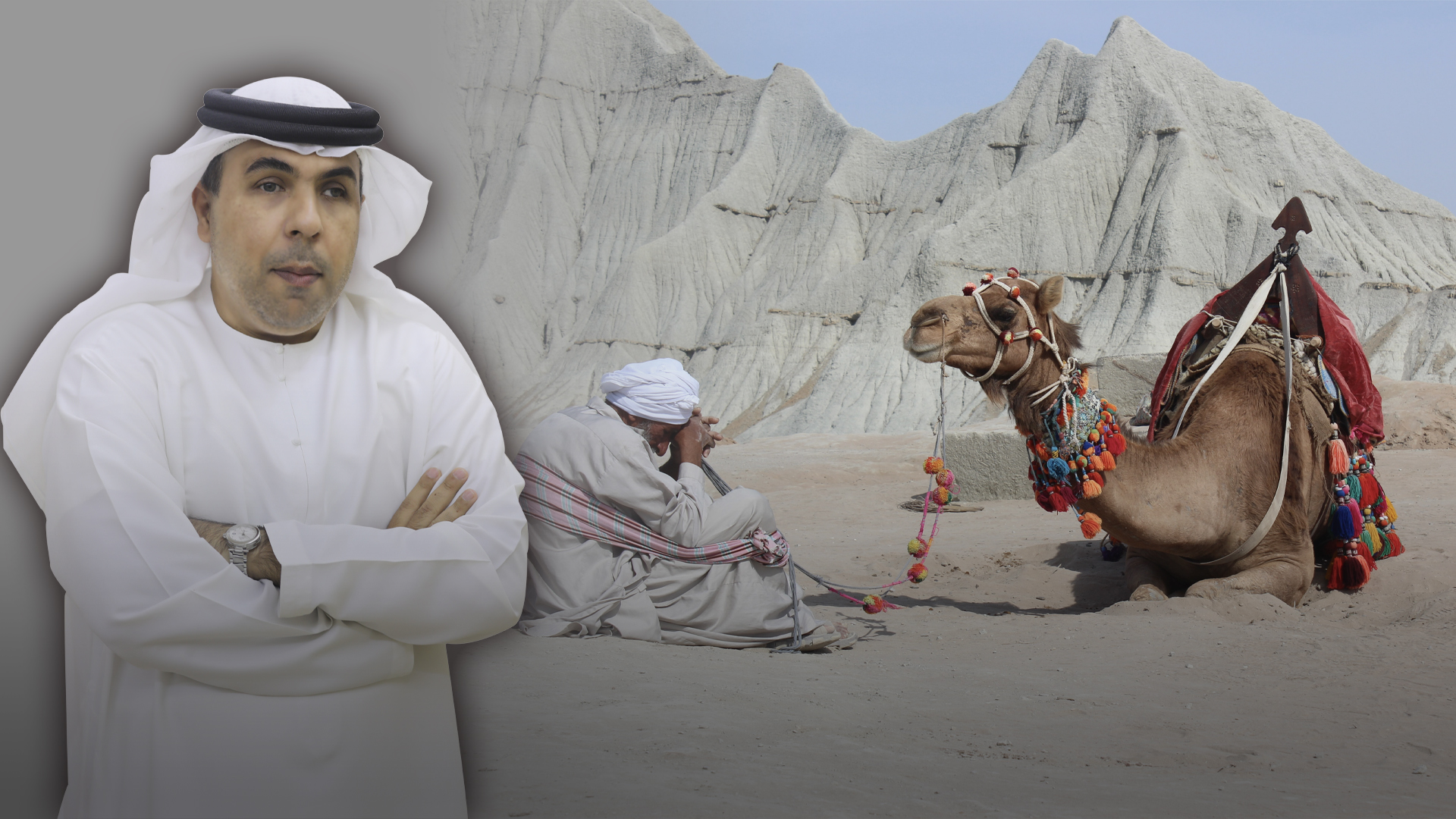 صورة بعنوان: نصيحة ببعير 