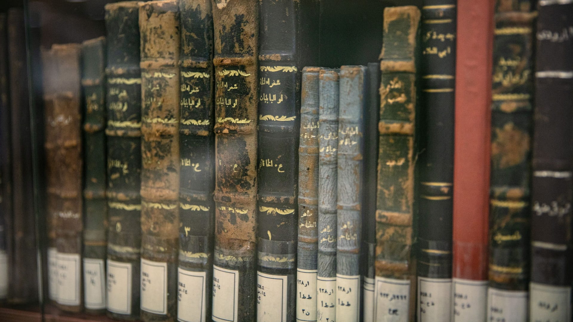 صورة بعنوان: "مكتبات الشارقة" تخصص قسماً للمخطوطات والكتب النادرة  