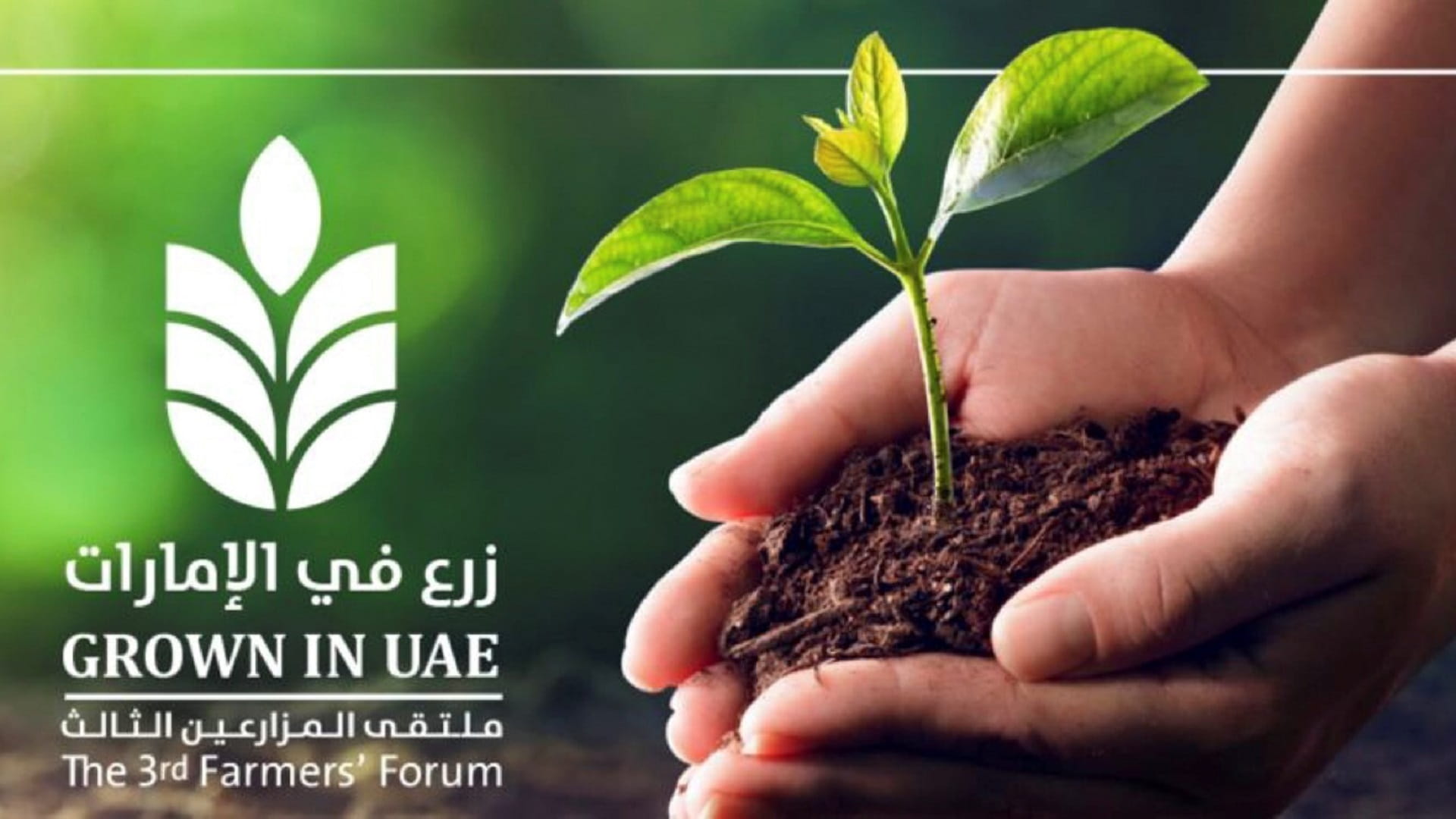 Image for the title: 50 elderly people participate in 3rd Farmers’ Forum 