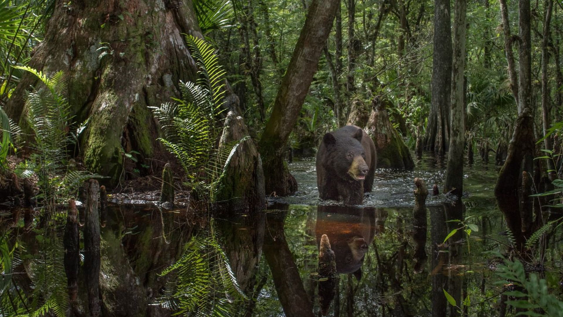 صورة بعنوان: اكسبوجر 2023 يجمع 12 من أفضل مصوري الحياة البرية والطبيعة  