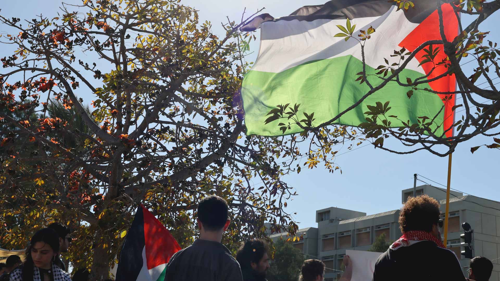 Image for the title: Israeli troops kill Palestinian driver as car speeds off 