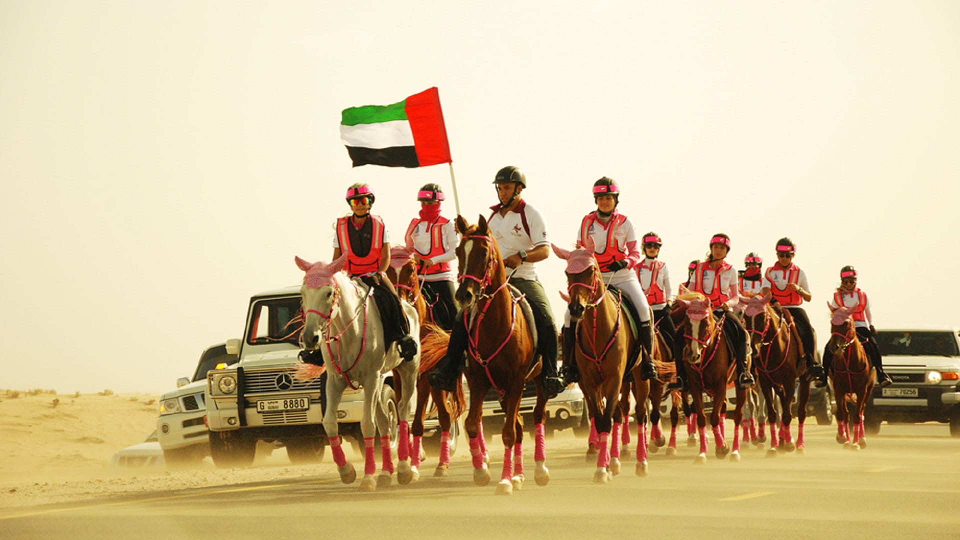 صورة بعنوان: "القافلة الوردية" تعلن مسارات الفرسان في الإمارات السبع 