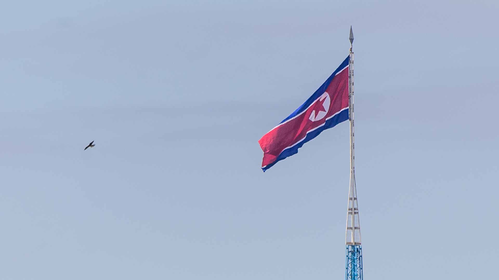 Image for the title: N. Korea criticizes IAEA for approving Fukushima water 