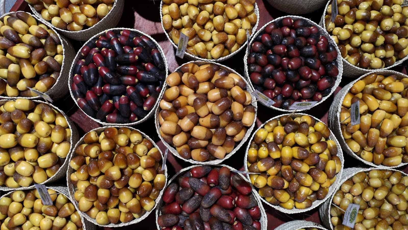 صورة بعنوان: برعاية منصور بن زايد.. مهرجان ليوا للرطب ينطلق الاثنين 