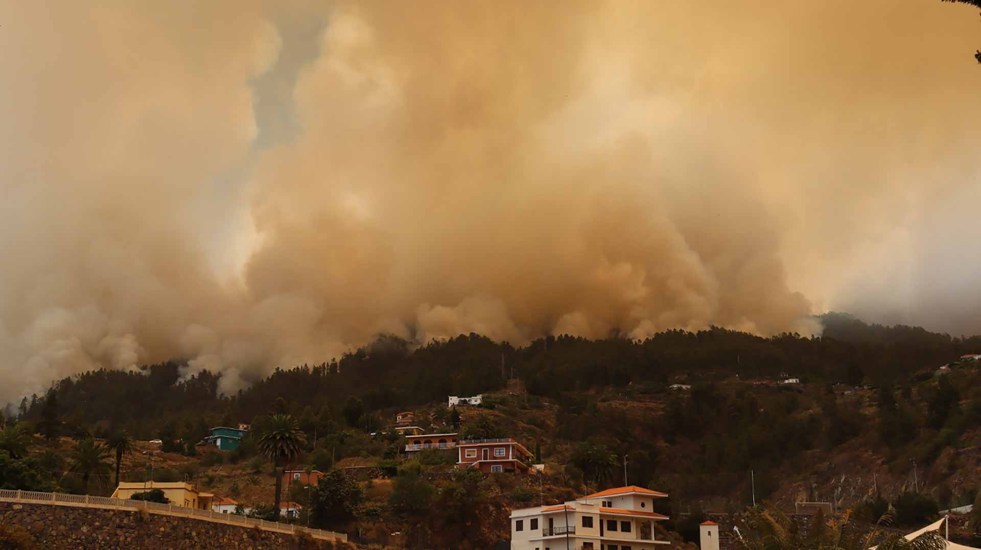 Image for the title: Thousands evacuated as Spanish island wildfire out of control 