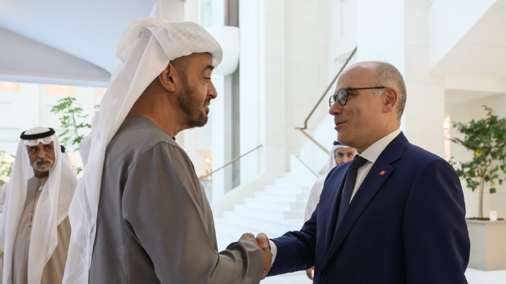 صورة بعنوان: رئيس الدولة يستقبل وزير الشؤون الخارجية التونسي 