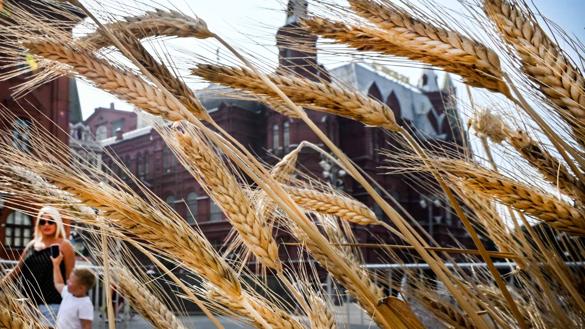 Image for the title: Ships nearing Ukraine to be viewed as possible military carriers 
