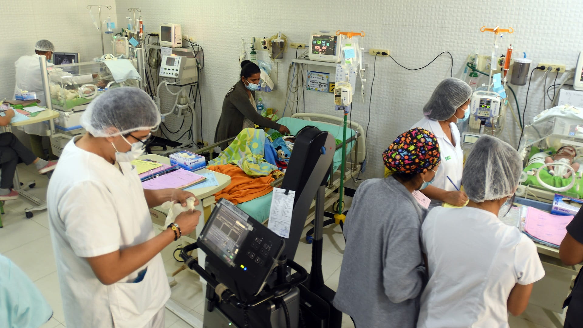 Image for the title: WHO: Dengue risk nears historic highs due to global warming 