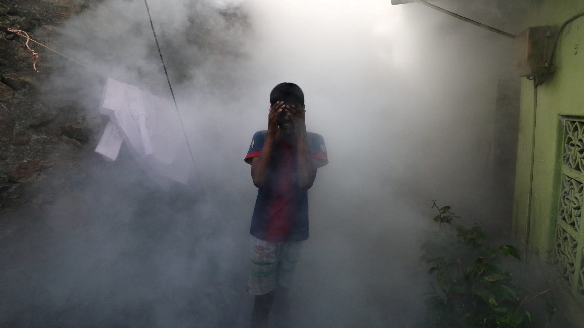 صورة بعنوان: منظمة الصحة: تفشي حمى الضنك قرب مستويات قياسية مع زيادة الحرارة 