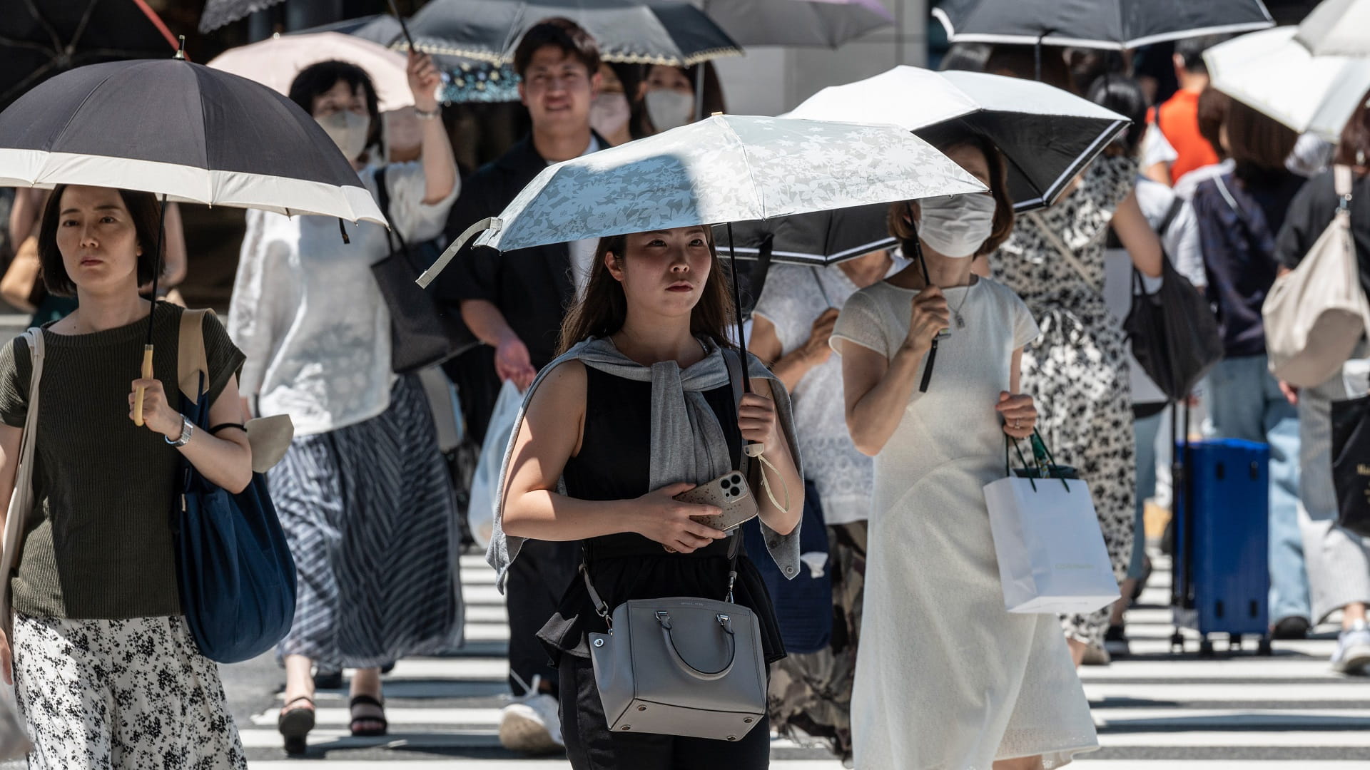 Image for the title: WMO: Extreme heatwaves to continue through August 