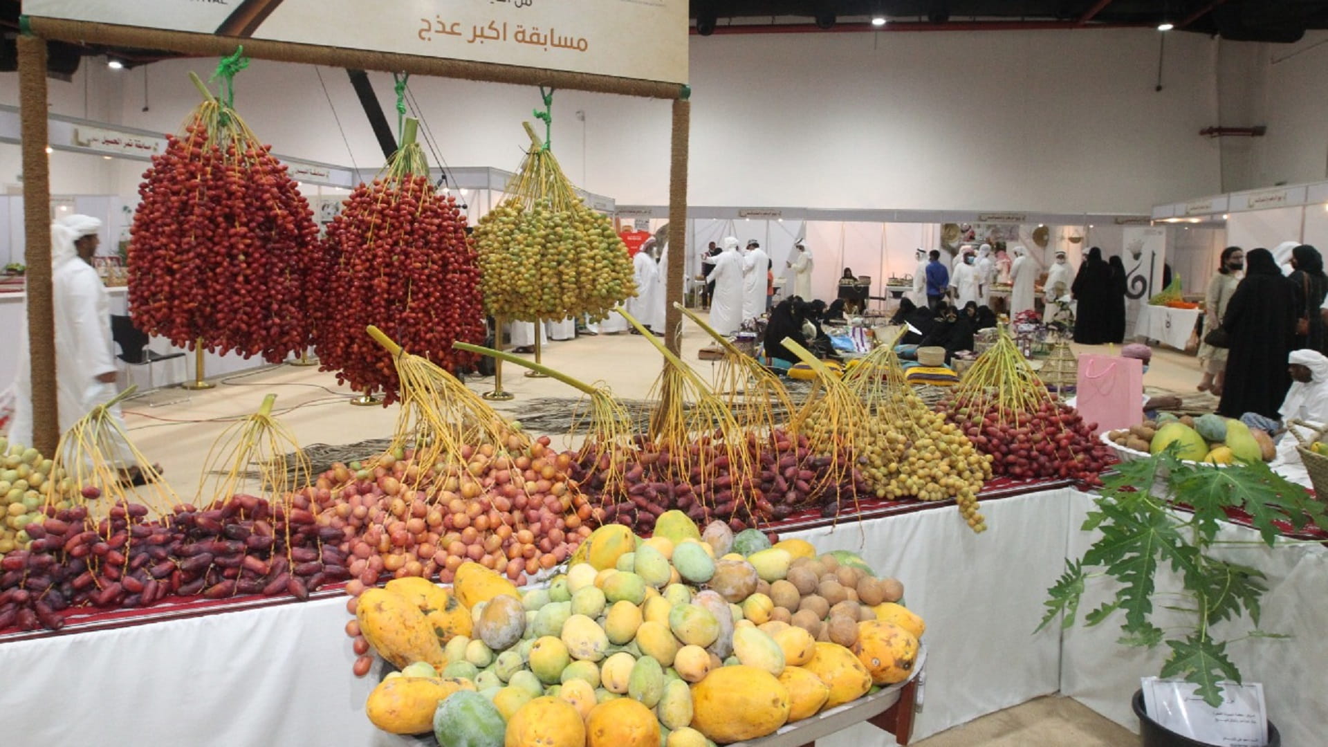 صورة بعنوان: غرفة الشارقة تستعد لإطلاق فعاليات النسخة الـ7 لمهرجان الذيد للرطب 