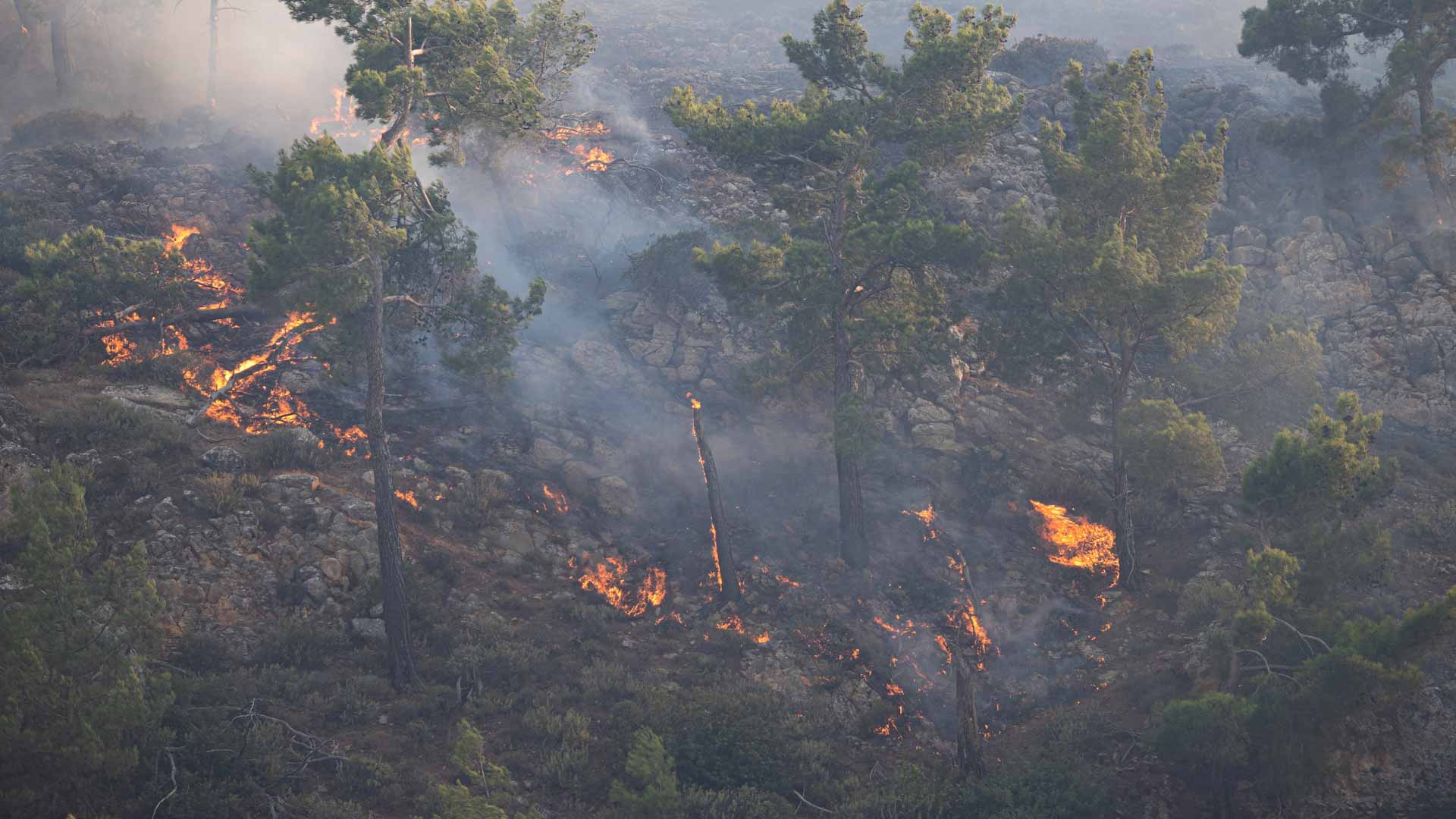 صورة بعنوان: اليونان تواصل مكافحة حرائق جزيرة رودوس 