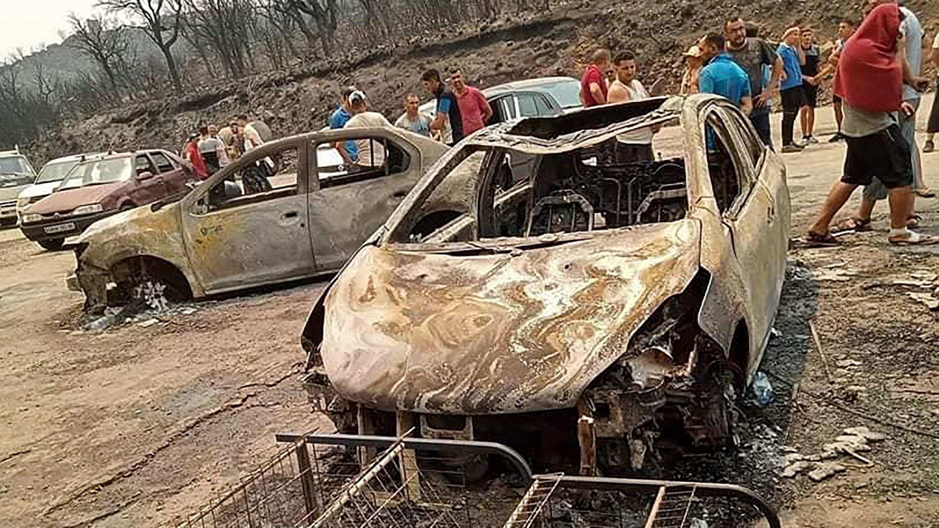 صورة بعنوان: الجزائر تعلن وفاة 34 شخصاً بحرائق غابات في صيف قائظ 