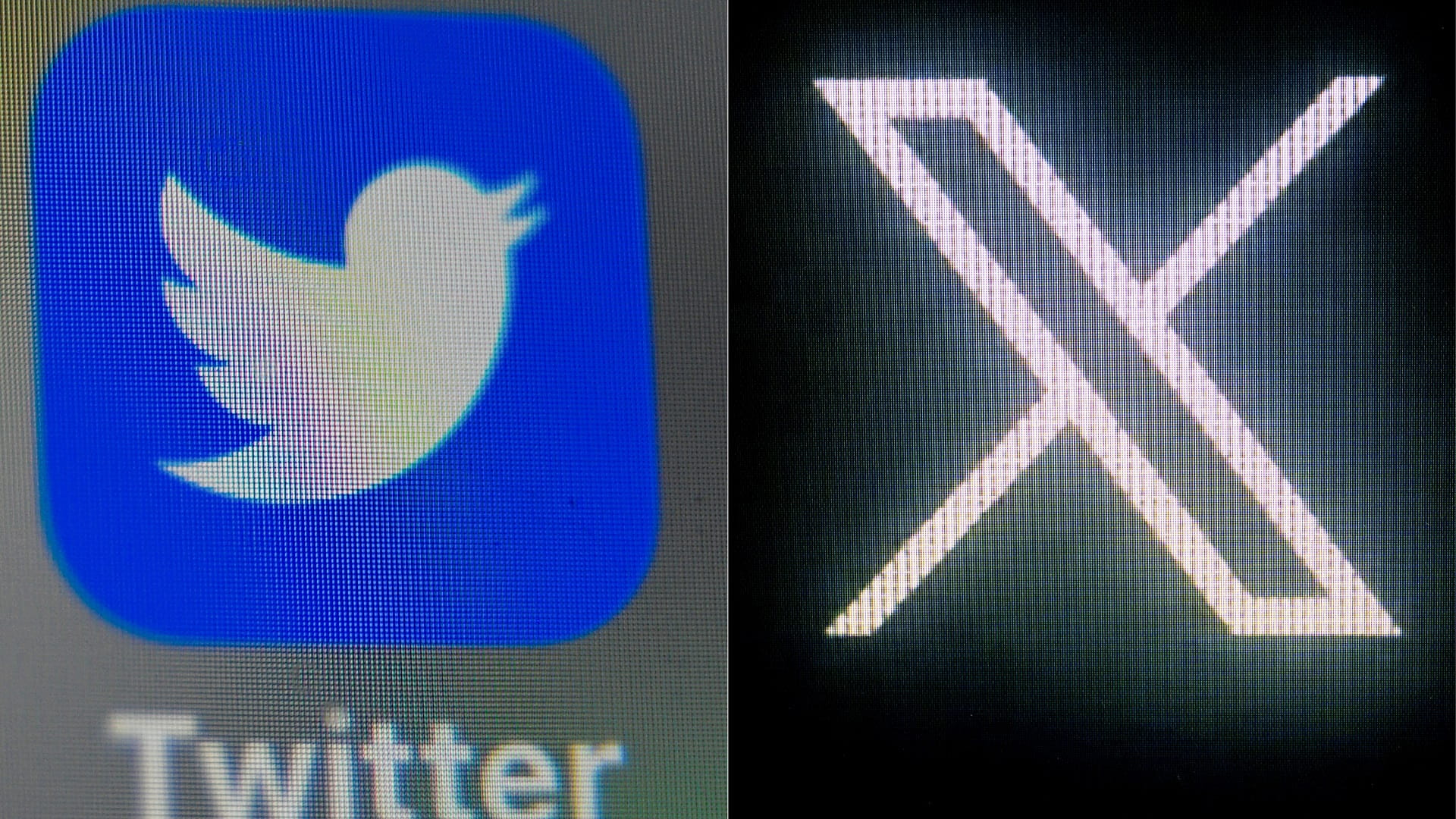 Image for the title: Musk rebrands Twitter, replacing bird logo with X 