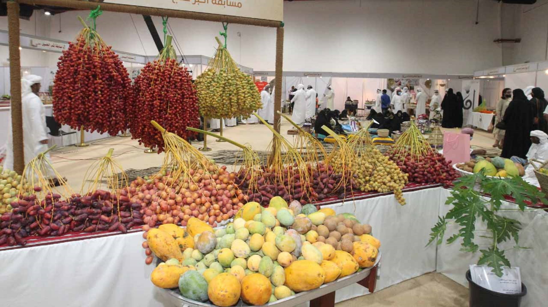 Image for the title: Dates farmers ready to grab prizes worth AED 1 million 