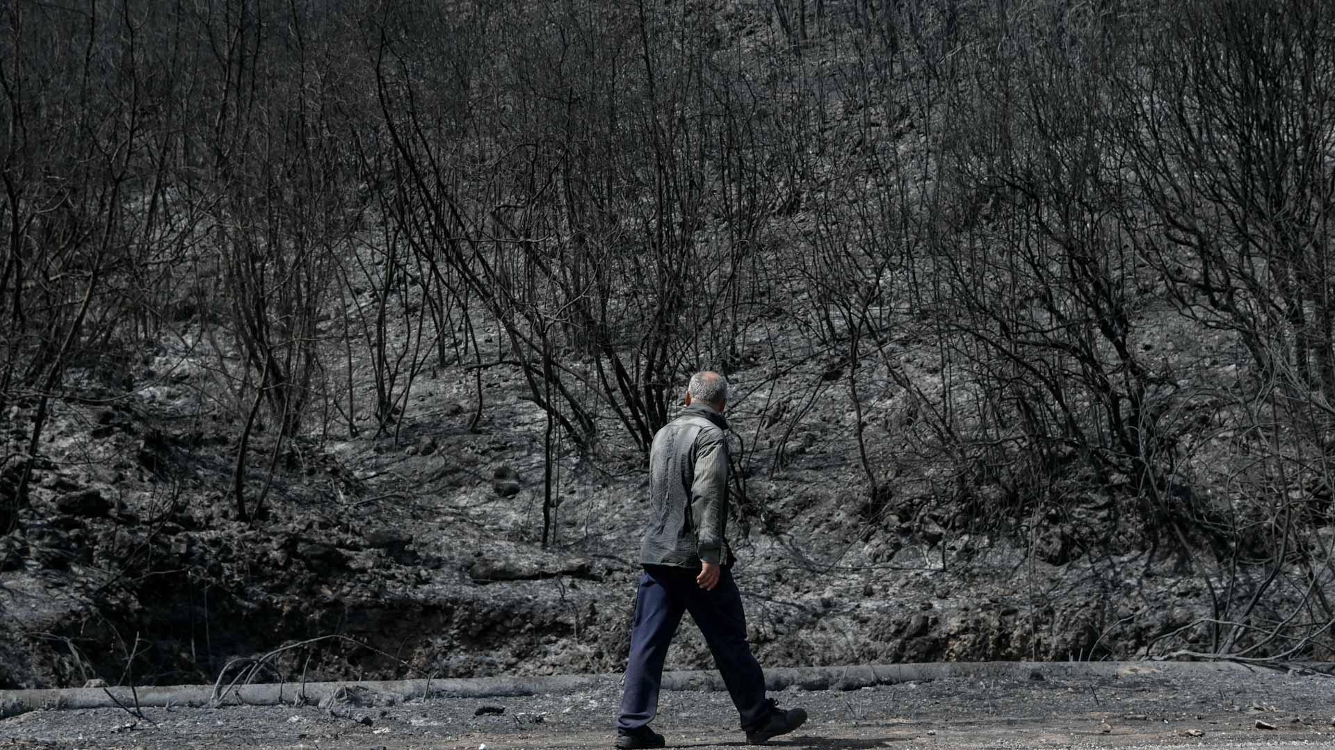 Image for the title: New fires in heat-hit Greece force evacuations 