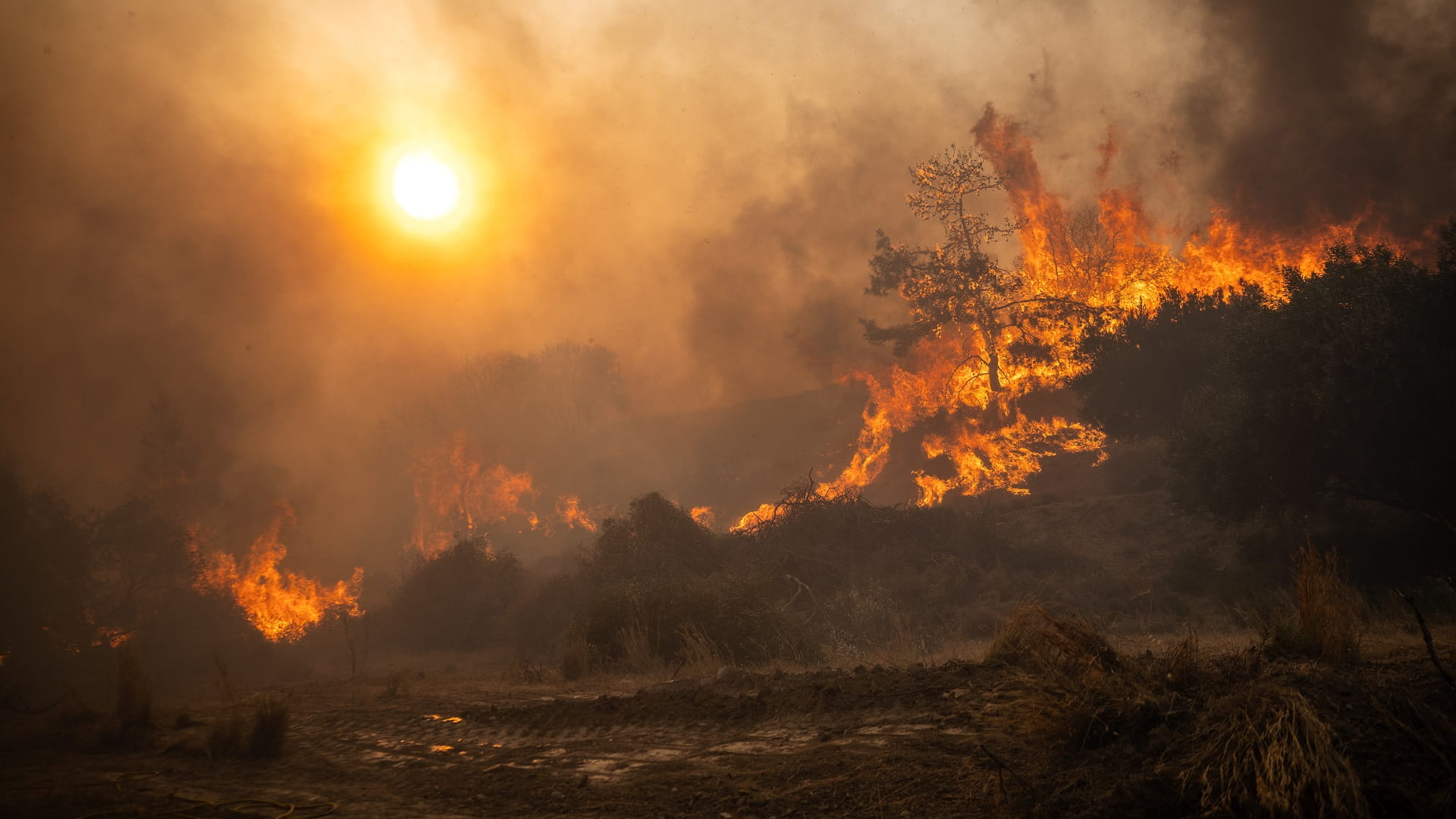 Image for the title: July to be hottest month on record; UN warns of 'global boiling' 