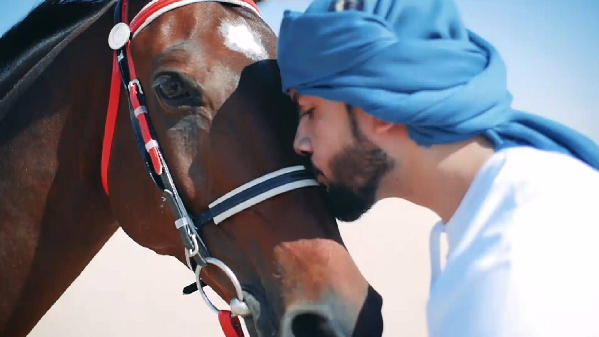 صورة بعنوان: برنامج "قطاف" يكشف للعالم تجربة الشارقة في المجال الفلاحي 