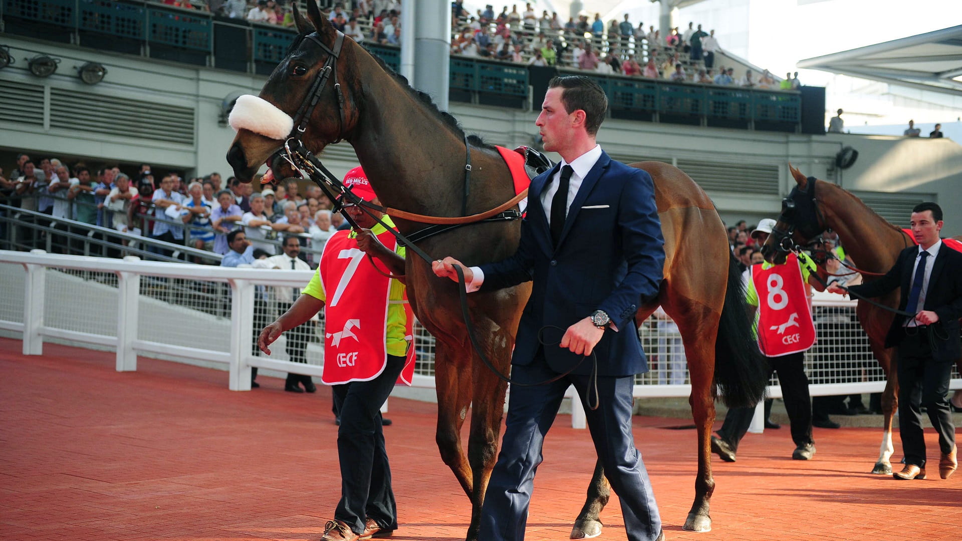 Image for the title: Singapore to end 180 years of horse racing 