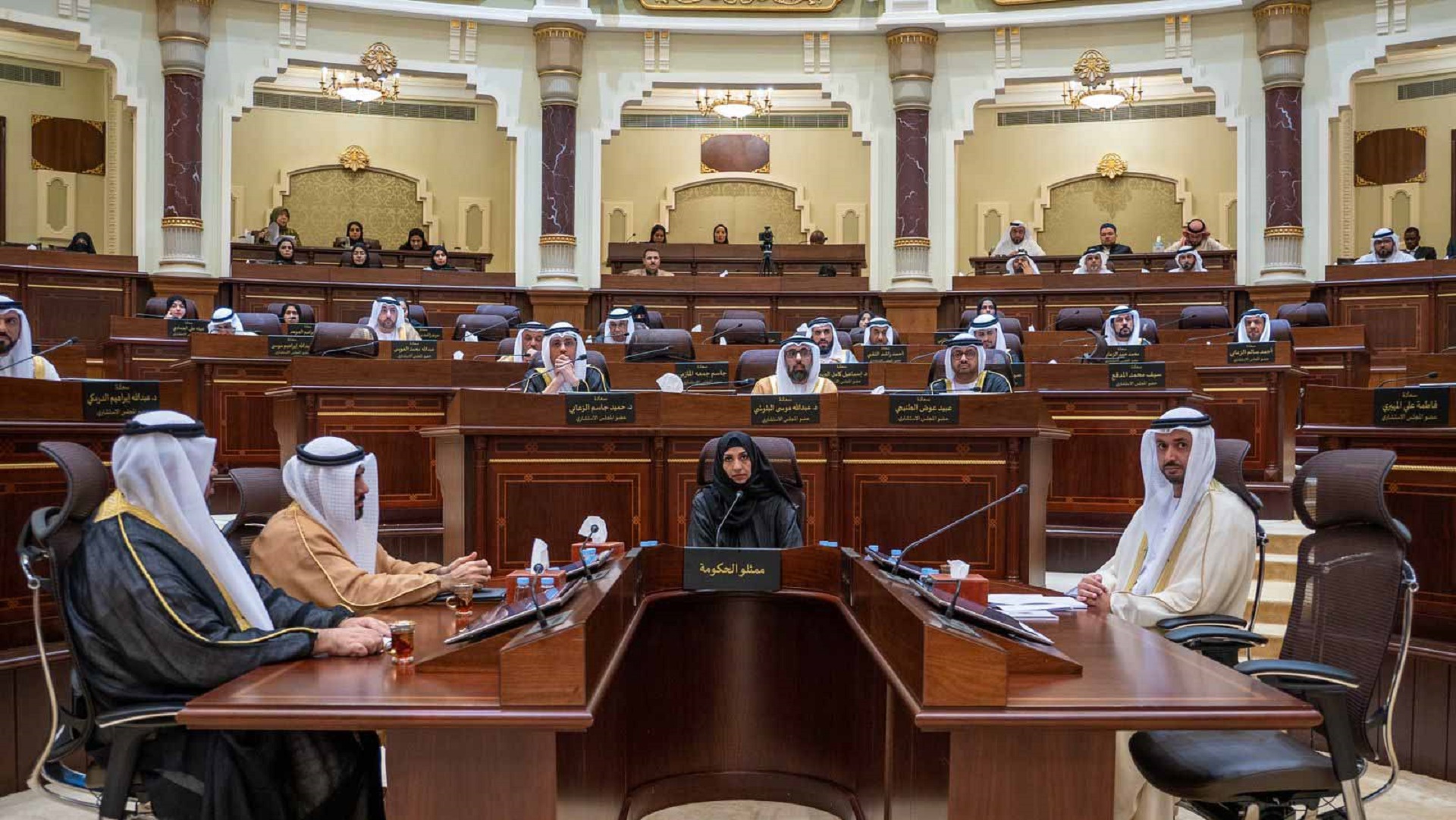 Image for the title: SCC approves social services law amendment 