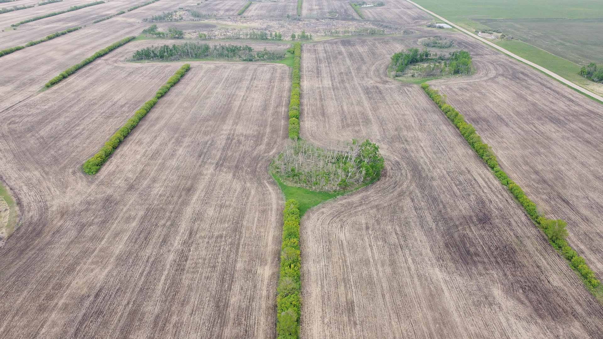 Image for the title: Farmers in Canadian Prairies strive to adjust to warmer planet 