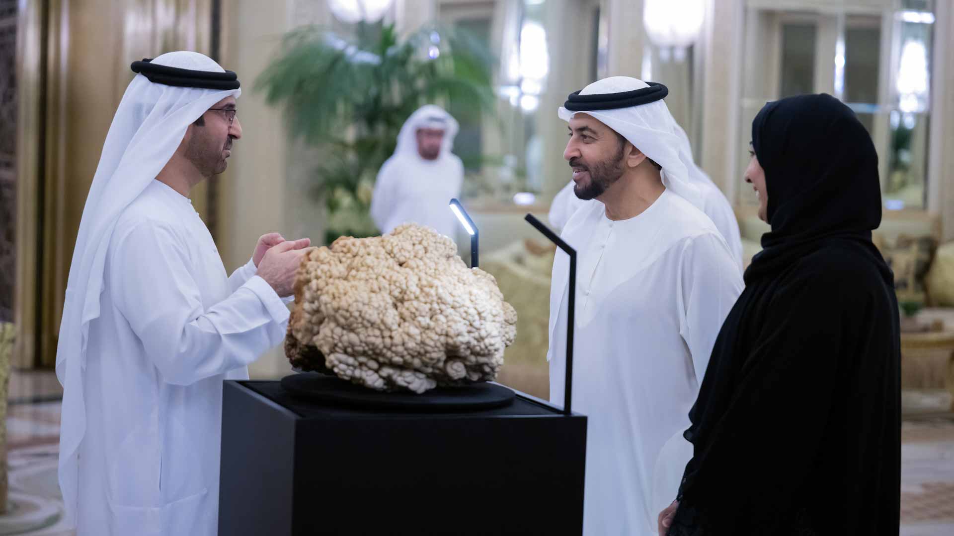 Image for the title: Hamdan bin Zayed reviews progress at Plant Resources Centre 