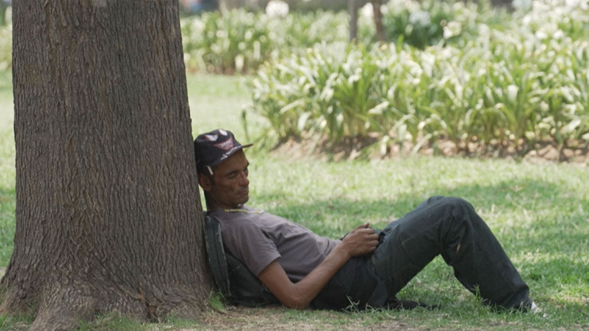 Image for the title: Eight people die in Mexico heatwave 