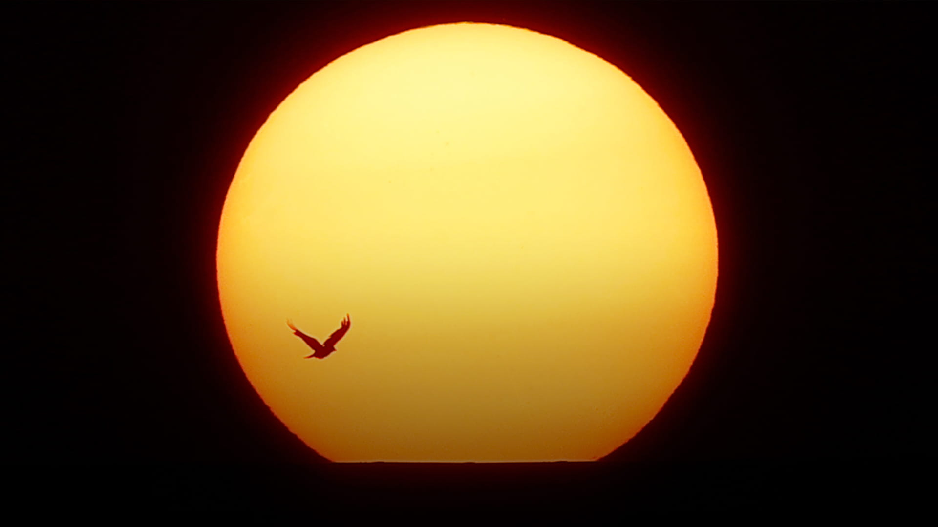 صورة بعنوان: الانقلاب الشمسي يصنع الفرح باحتفالات بريطانيا في ستونهنج العريق 