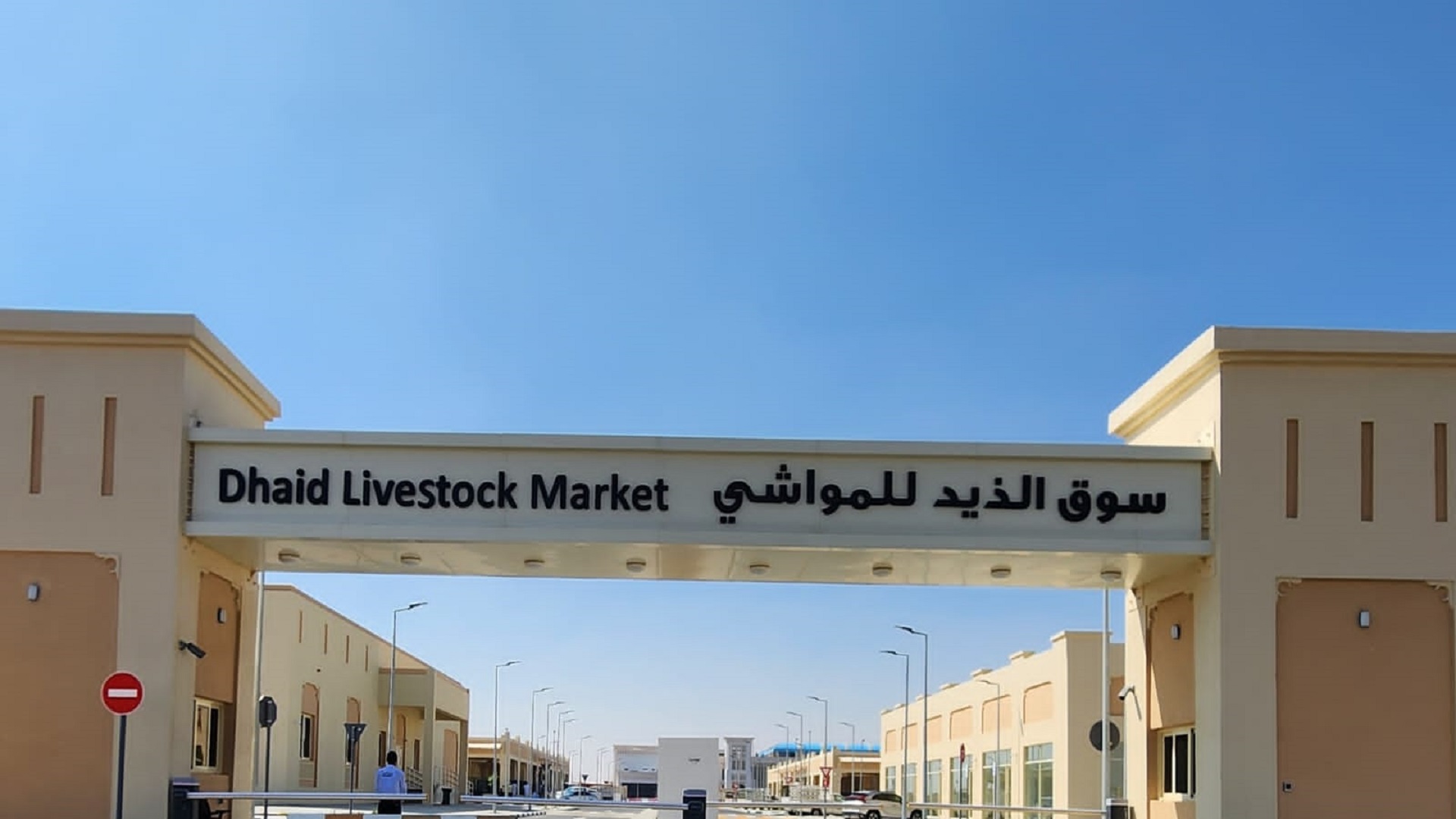 صورة بعنوان: سوق المواشي بالذيد يكمل استعداداته لاستقبال الزوار في عيد الأضحى 