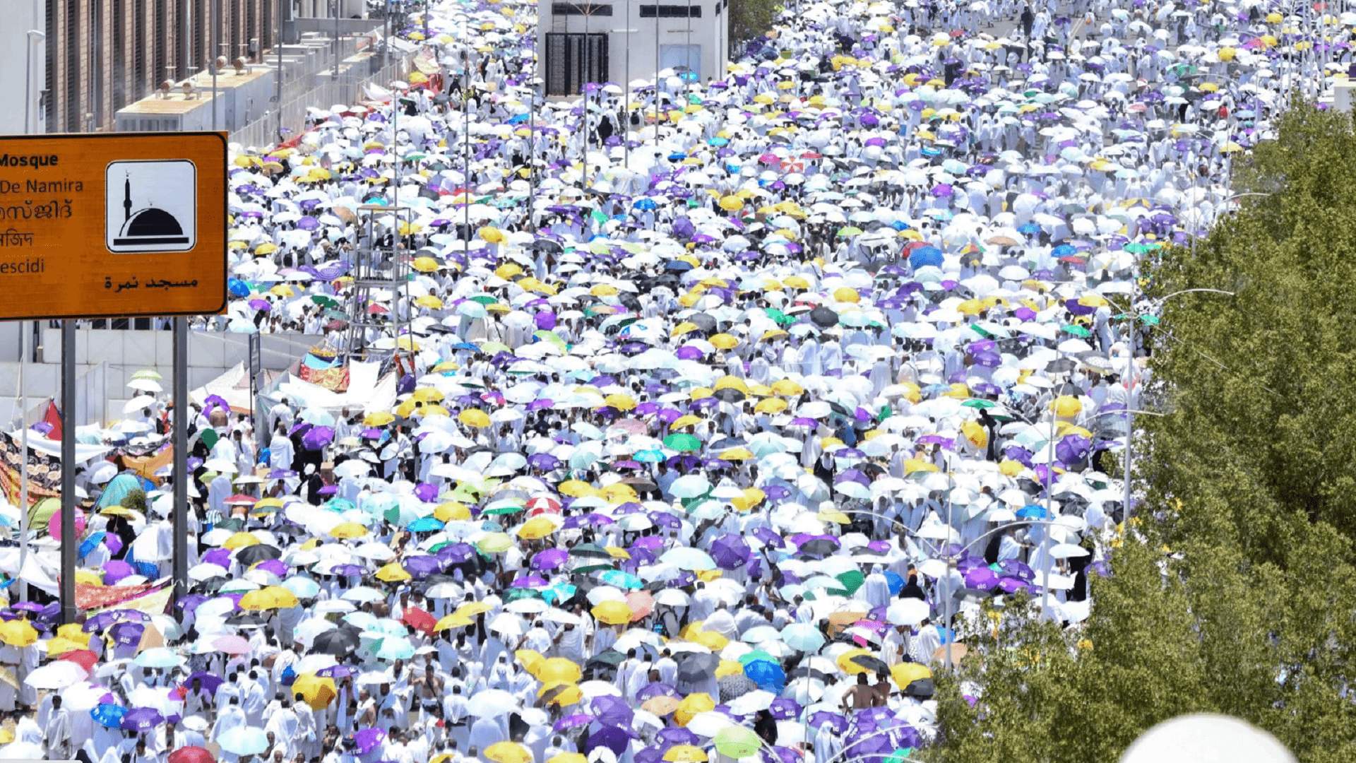 صورة بعنوان: الكعبي يؤكد سلامة حجاج الإمارات أثناء أدائهم المناسك ووقوفهم بعرفة 