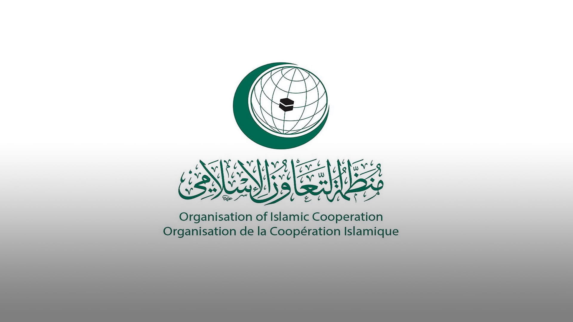 Image for the title: OIC condemns burning copy of Holy Quran in Stockholm 