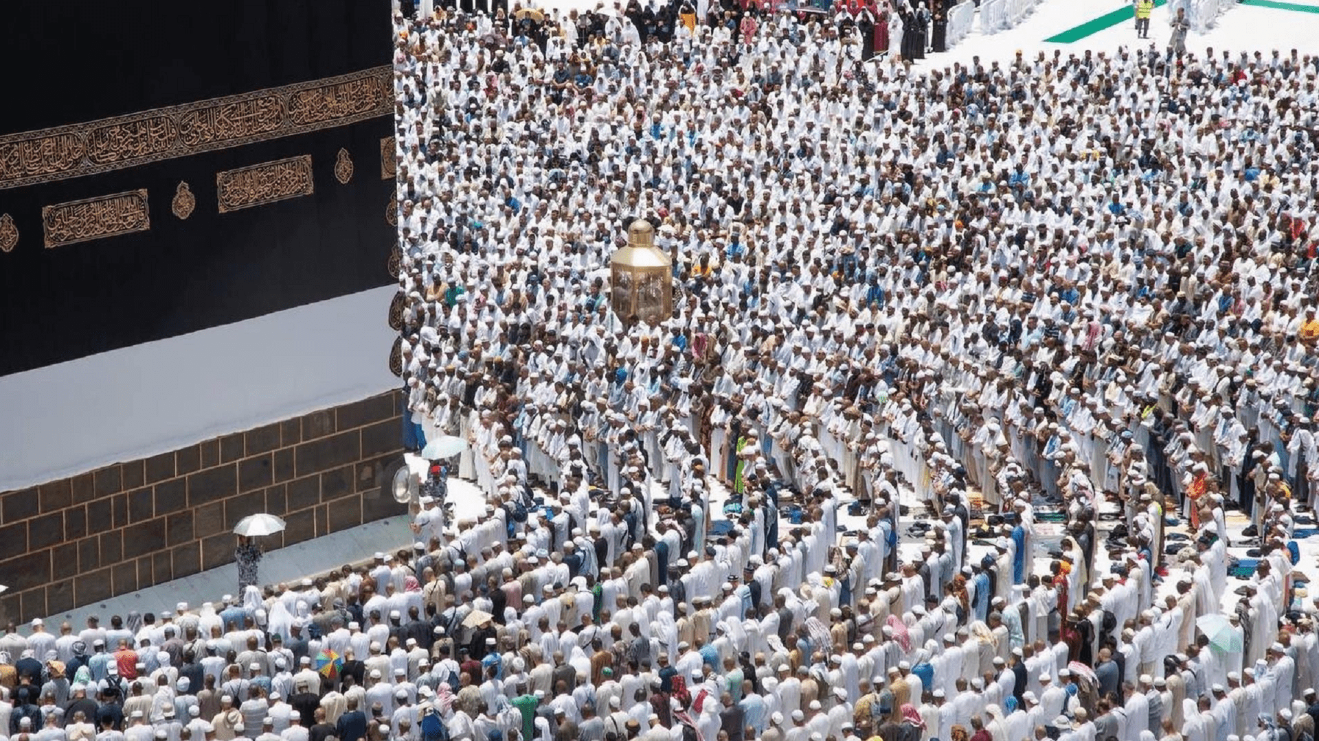 صورة بعنوان: وزير الصحة السعودي يعلن خلو موسم الحج من أي تفشيات 