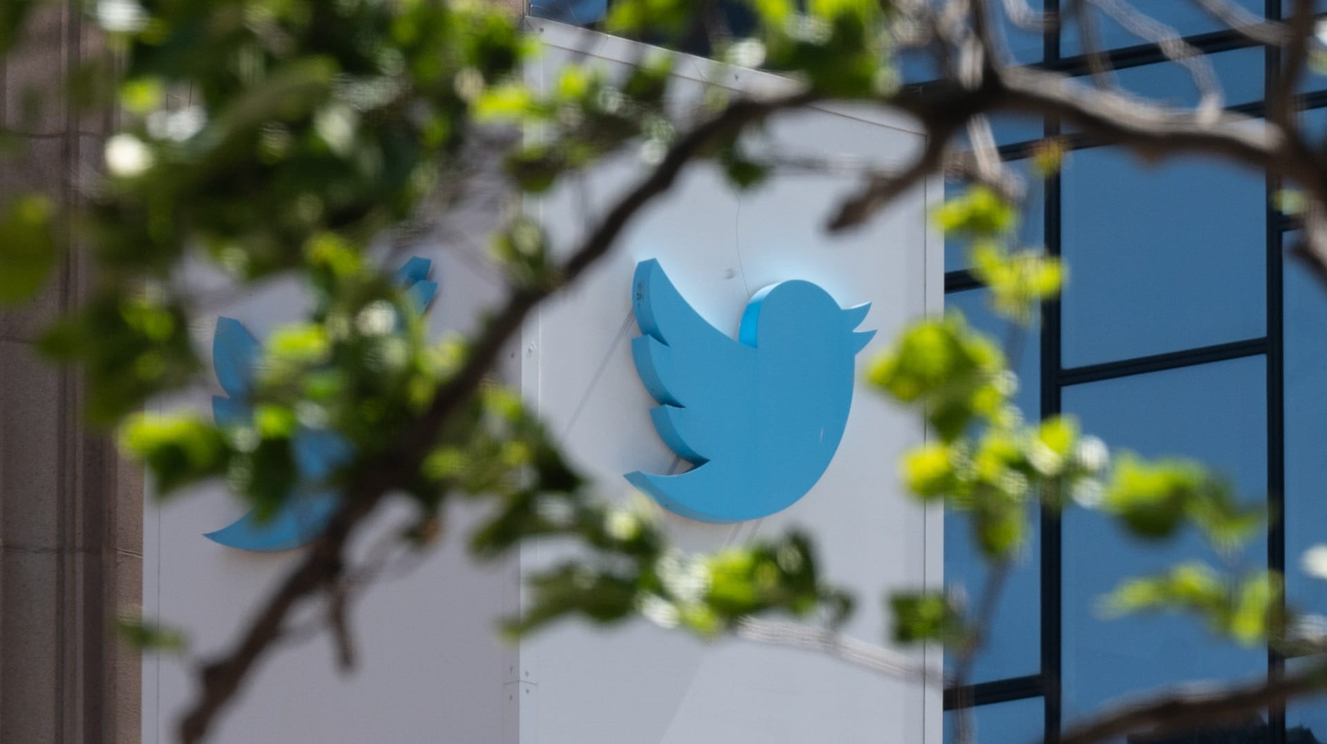 Image for the title: Twitter suffers major outage disabling external links 