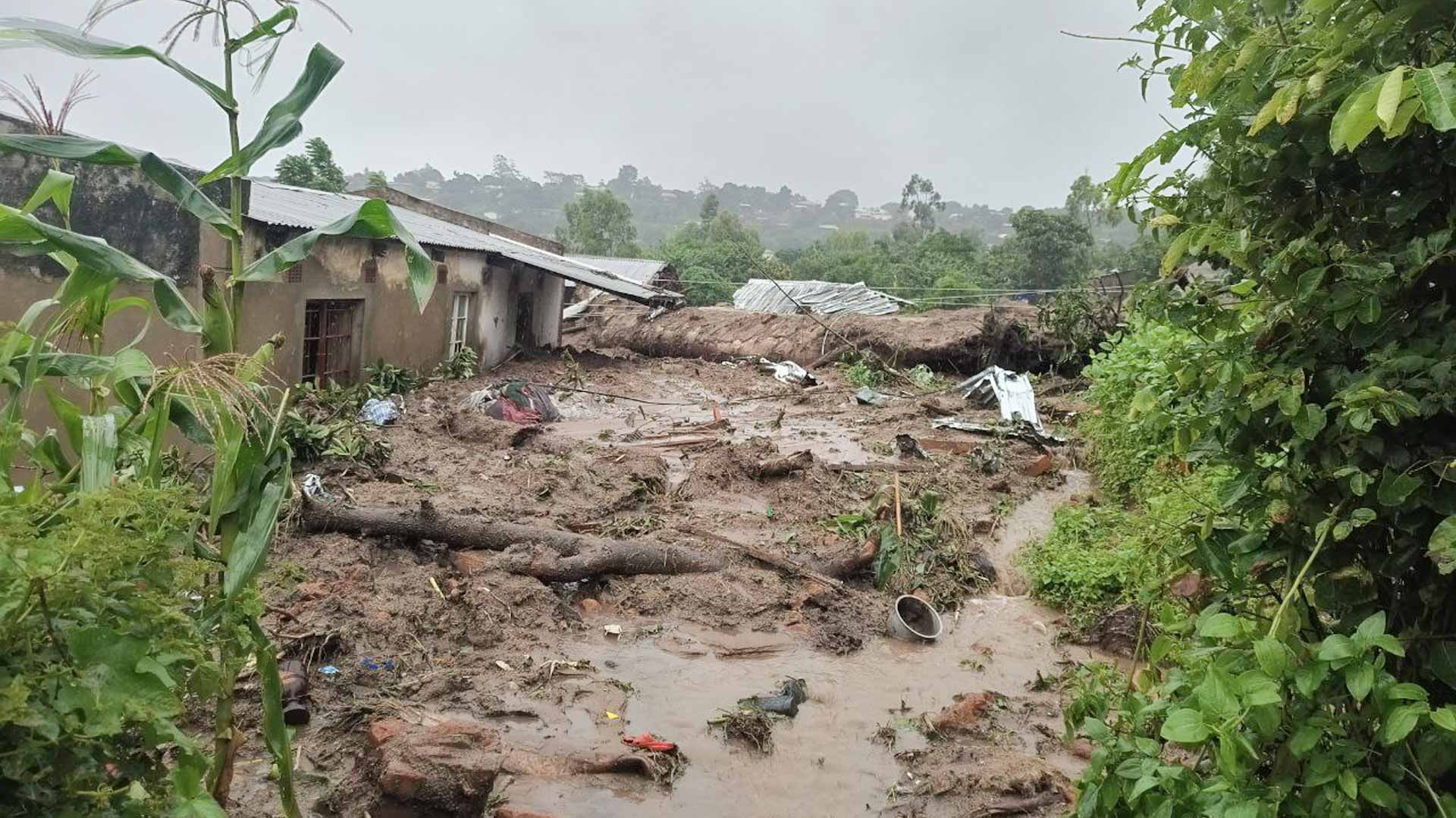 Image for the title: Malawi urges global help after Cyclone Freddy kills 225 