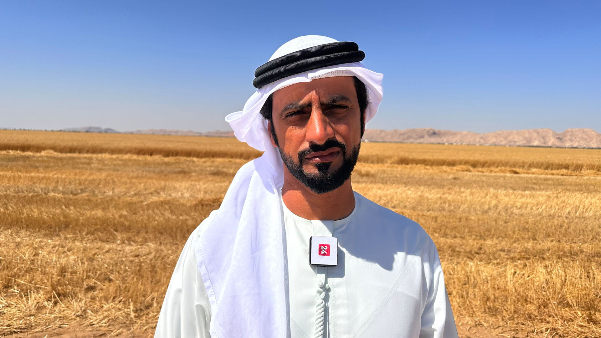 Image for the title: Bin Matar: Harvesting wheat is critical stage in self-sufficiency 