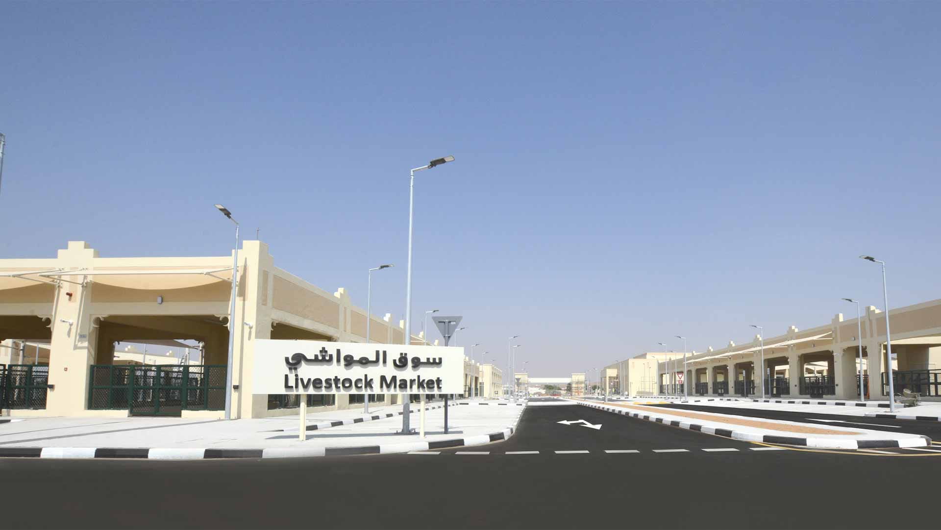 صورة بعنوان: "أشغال الشارقة" تنجز سوقاً للمواشي ومسلخاً آلياً حديثاً في الذيد 