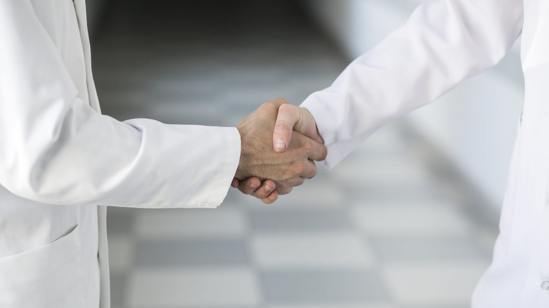 Image for the title: SSSD promotes social unity and urges support from all parties 