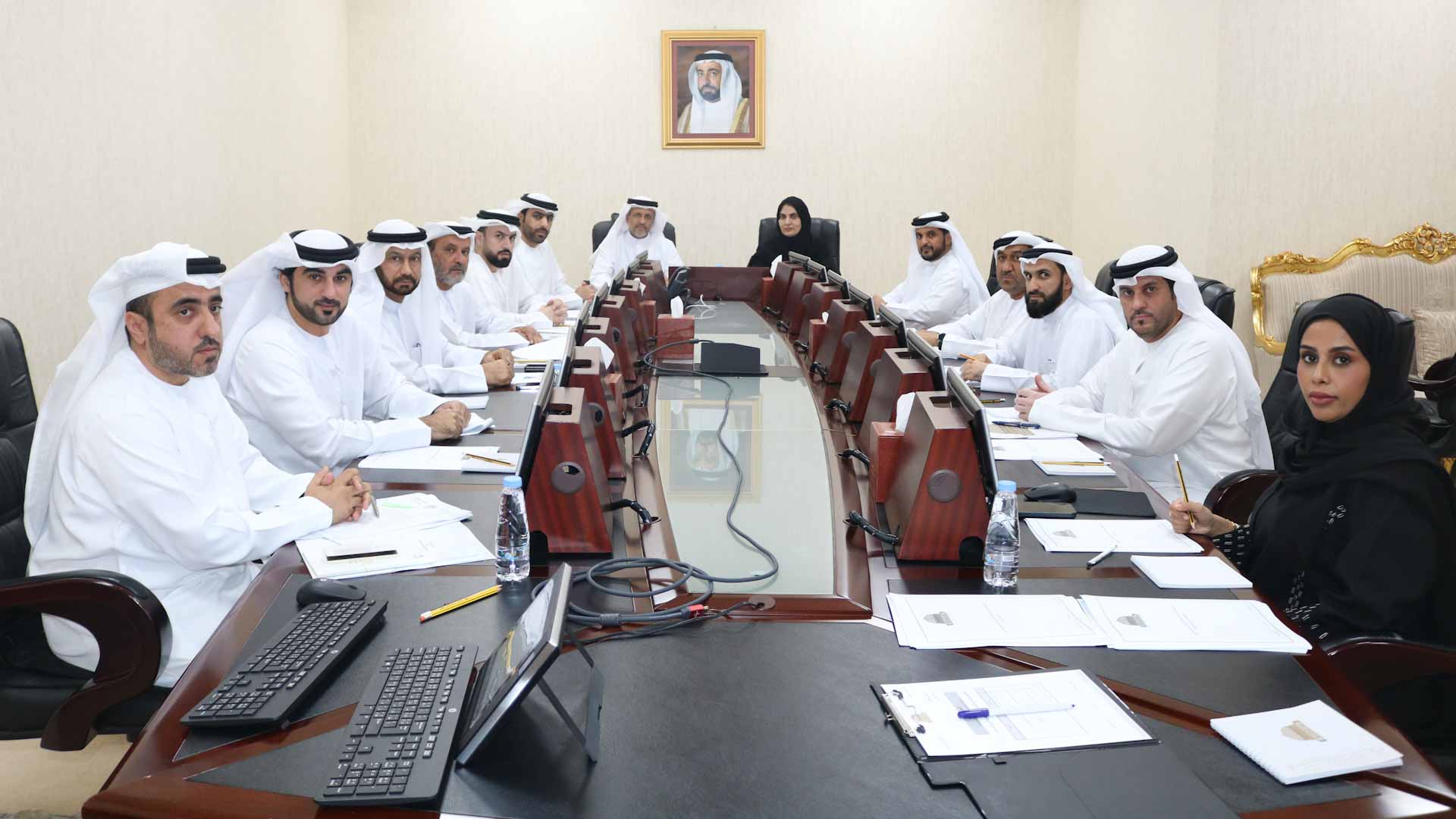 Image for the title: SCC's Committee discusses aviation and airport draft laws 