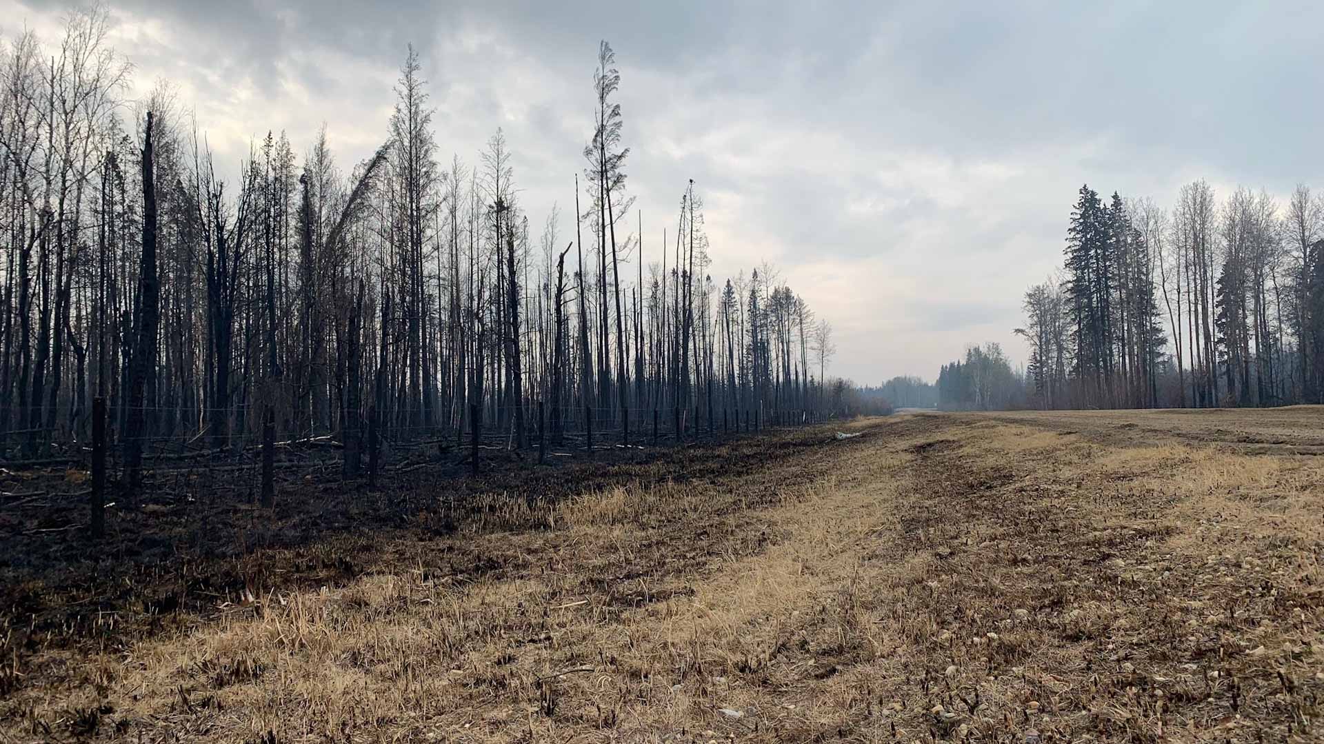 Image for the title: Wildfires in western Canada progressively dying down 