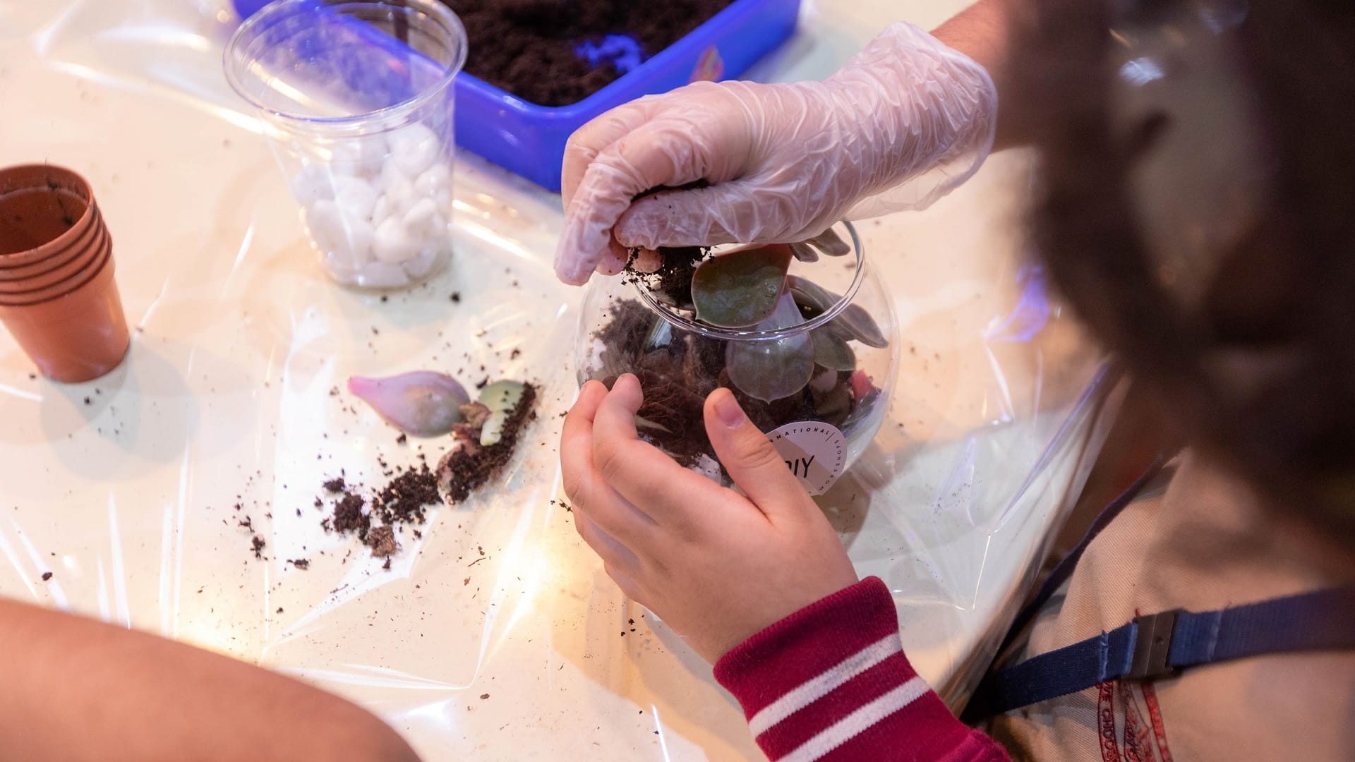 Image for the title: Students learn to create their own indoor garden at SCRF 