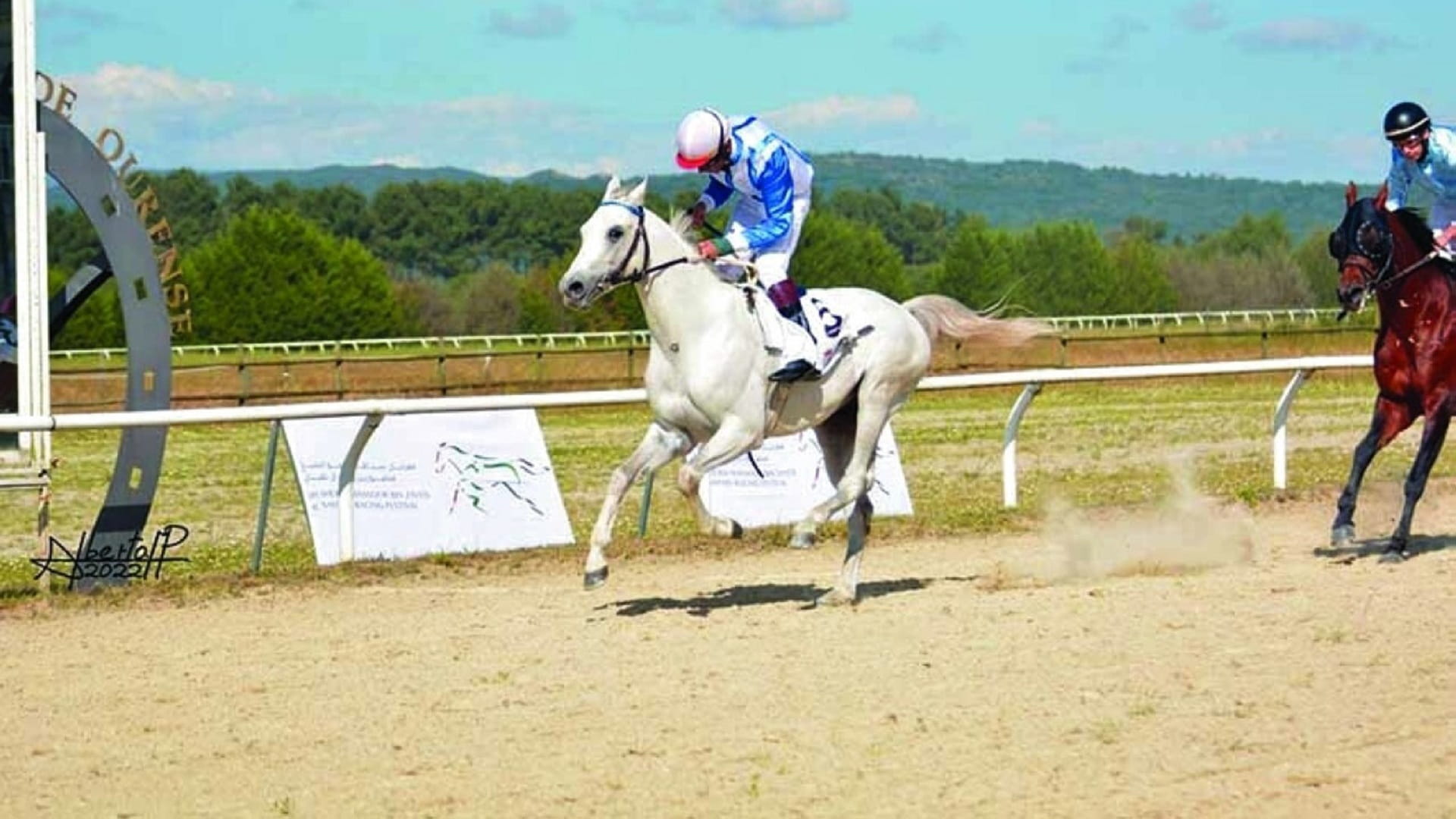 Image for the title: Mansour bin Zayed Racing Festival to kick off tomorrow in Spain 