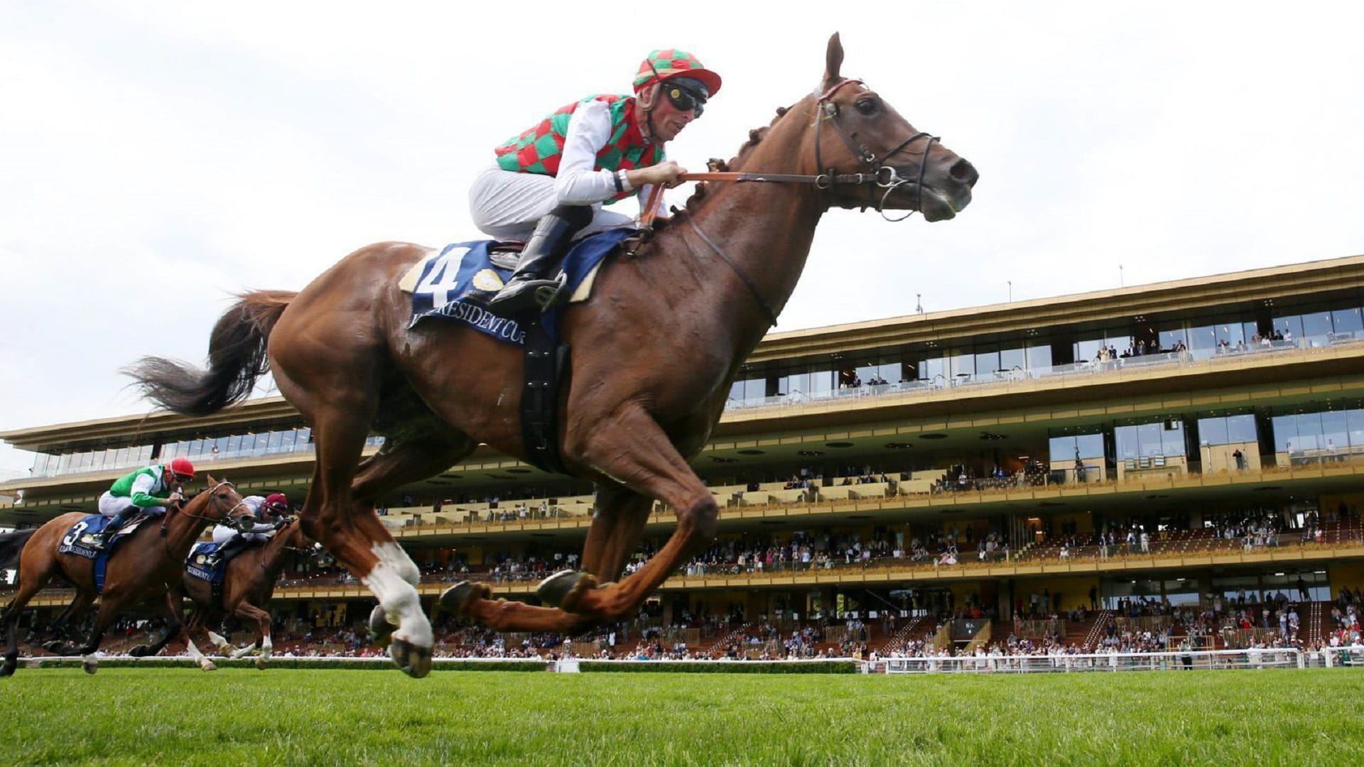 Image for the title: UAE President’s Cup World Series kicks off tomorrow in Paris 