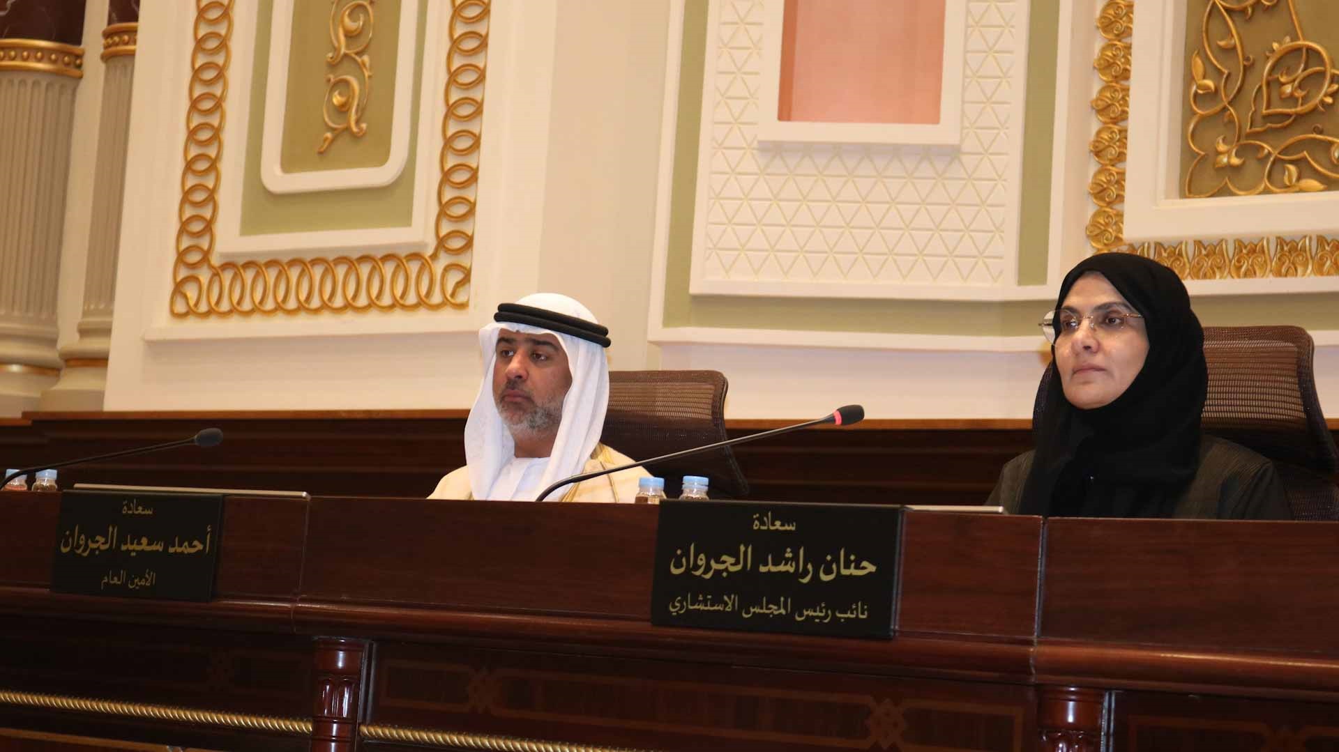 صورة بعنوان: "الاستشاري" يجيز مشروعي قانون دائرة الطيران المدني وهيئة المطار 