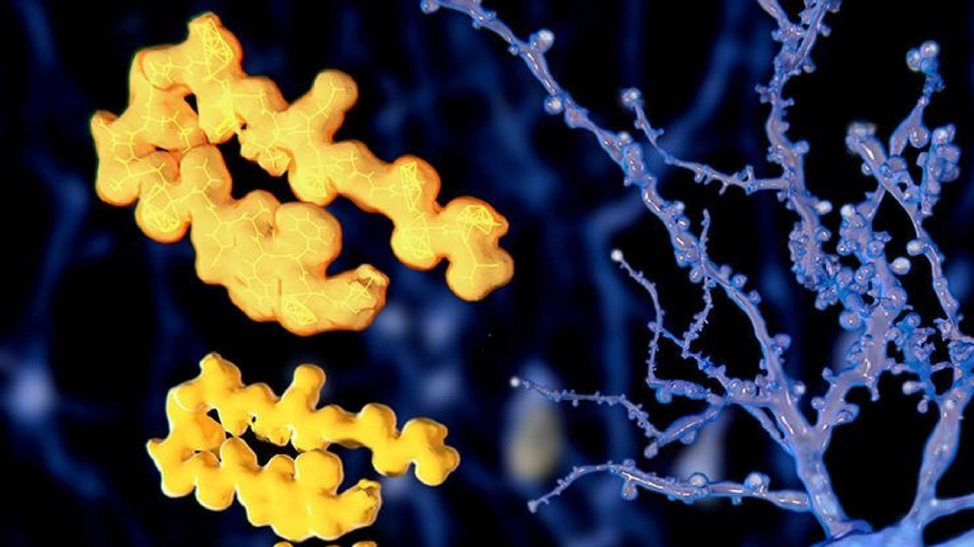 صورة بعنوان: باحثون أستراليون يتوصلون لدواء محتمل لنوع شائع من الخرف 