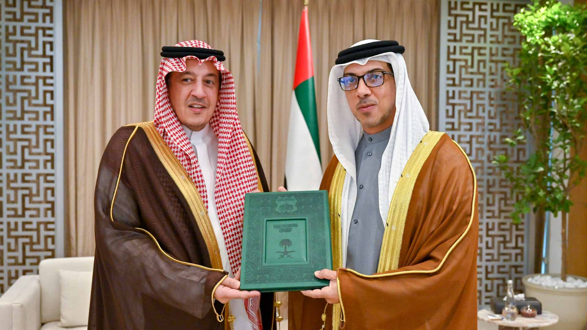 Image for the title: UAE President receives King Salman's invitation to Arab Summit 