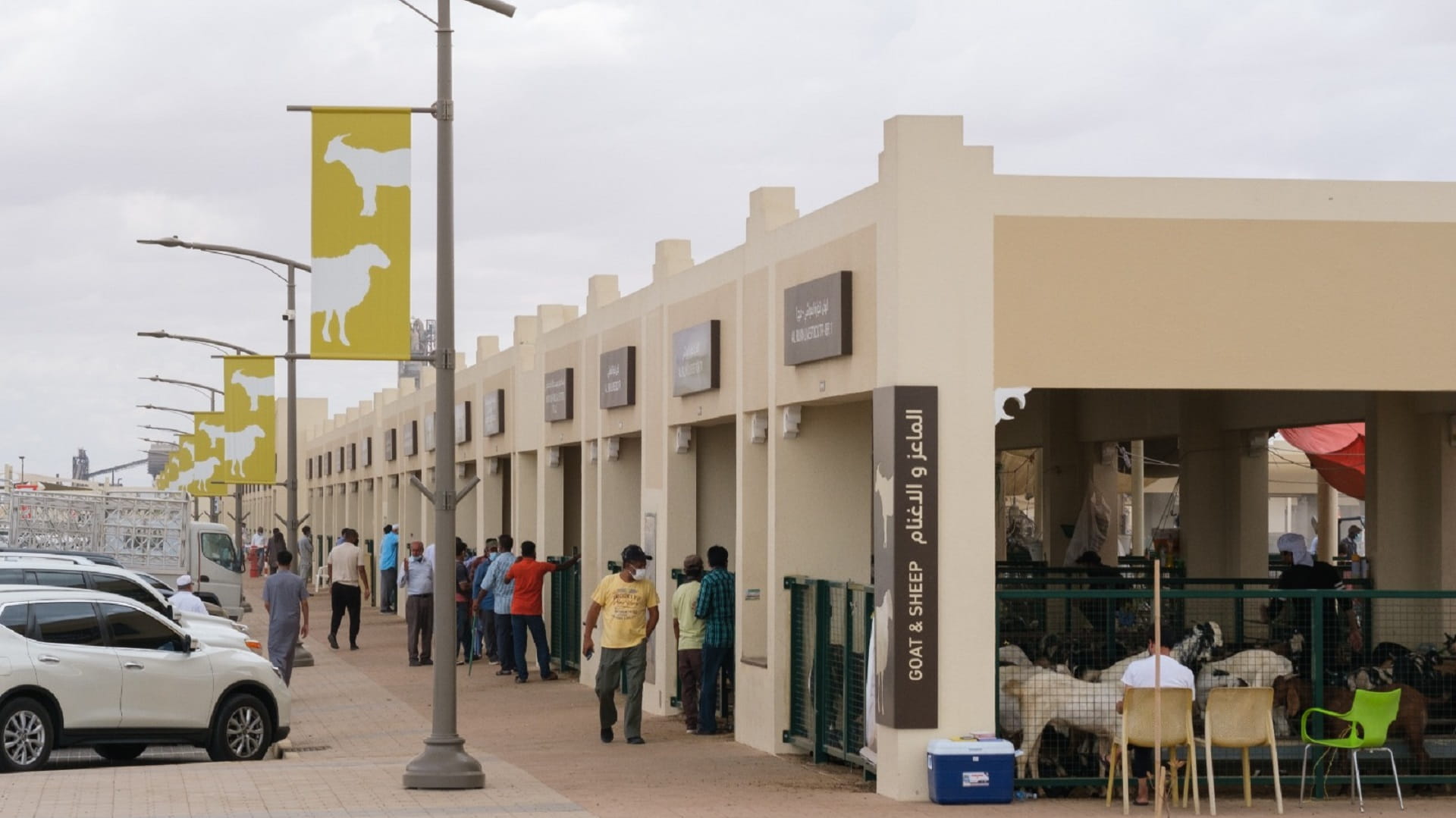 صورة بعنوان: "سوق الشارقة للمواشي" يستقبل 150 ألف زائر خلال الربع الأول من 2023 